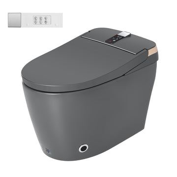 Smart Toilet Gray Ceramic Body Heated Seat Multi Wash Auto Flush with Remote