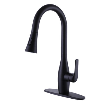 Single-Handle 2 water outlet Pull-Down Sprayer Kitchen Faucet in Matte Black