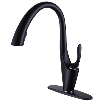 Single-Handle Pull-Down Sprayer Kitchen Faucet in Matte Black