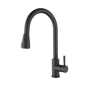 Kitchen Faucet with Pull Out Sprayer in Matte Black