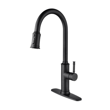 Single Handle Kitchen Faucet with Pull Out Sprayer