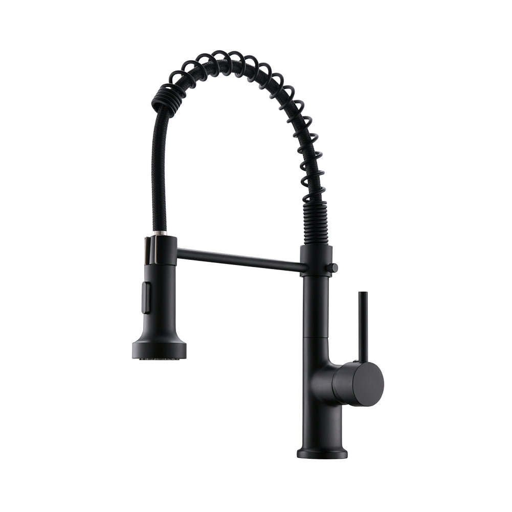 Brass Single Handle Pull Down Sprayer Kitchen Faucet Matte Black