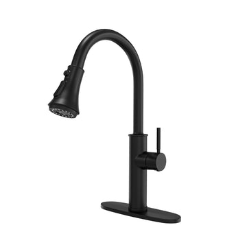Single Handle Pull-Down Kitchen Faucet with Deck Plate