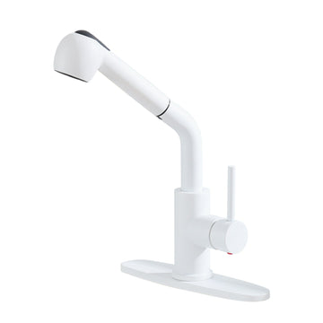 Single Handle Kitchen Faucet with Pull Down Sprayer
