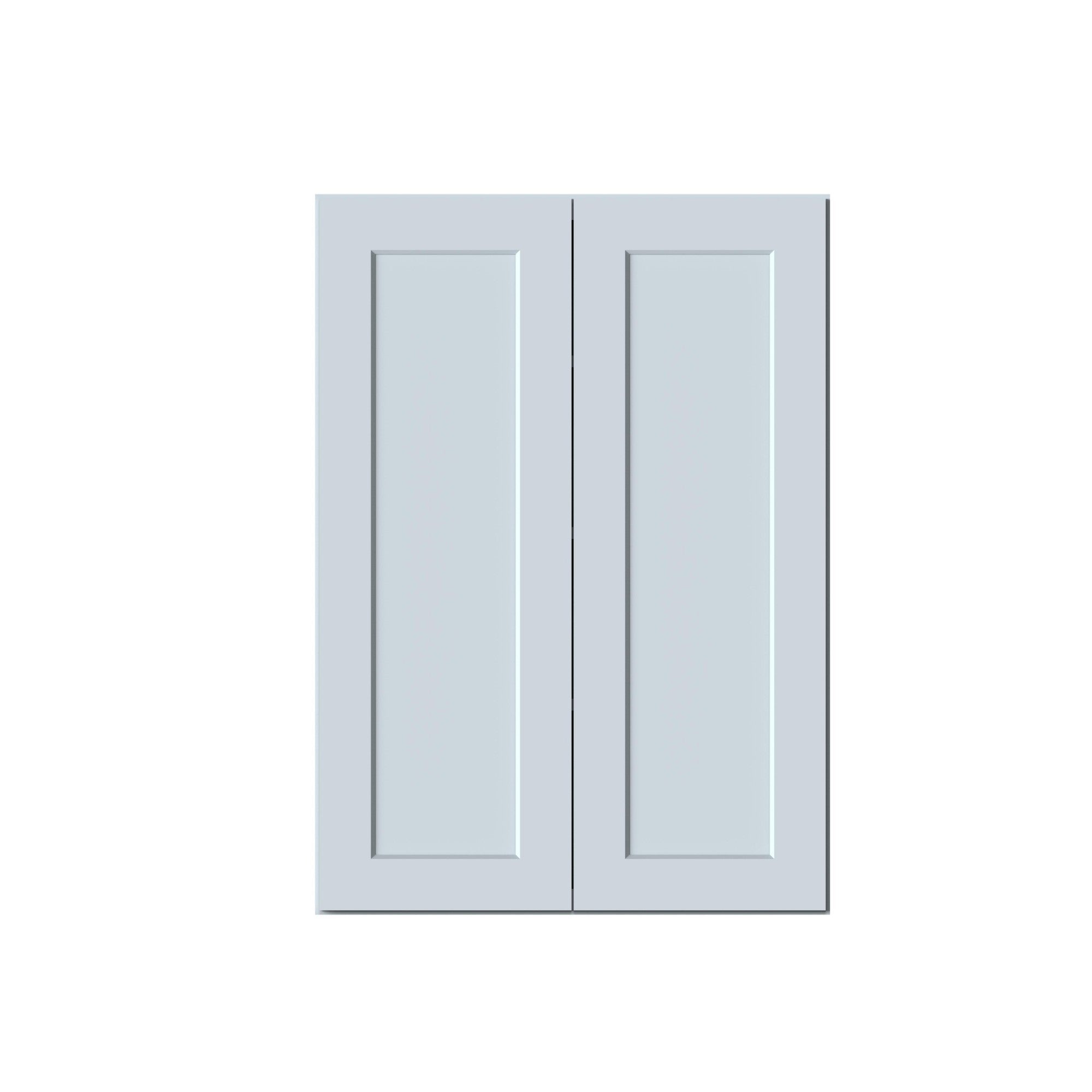 WALL CABINET W30 in. X H42 in. X D12 in.