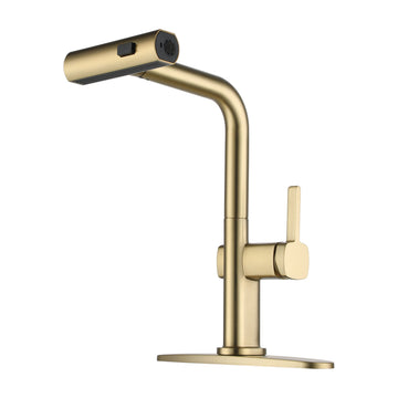 Single Handle Kitchen Faucet with Pull Down Sprayer 3-Function Sink Faucet, 360¡ã Swivel in Brushed Gold