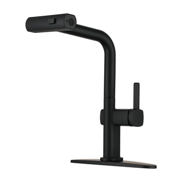 Single Handle Kitchen Faucet with Pull Down Sprayer 3-Function Sink Faucet, 360¡ã Swivel in Matte Black