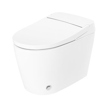 Smart Toilet Ceramic Body with Heated Seat Auto Flush and Night Light