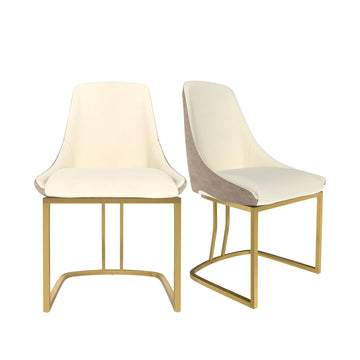 Modern Dining Side Chair with Metal Legs and Swivel Leveling Feet (Set of 2)